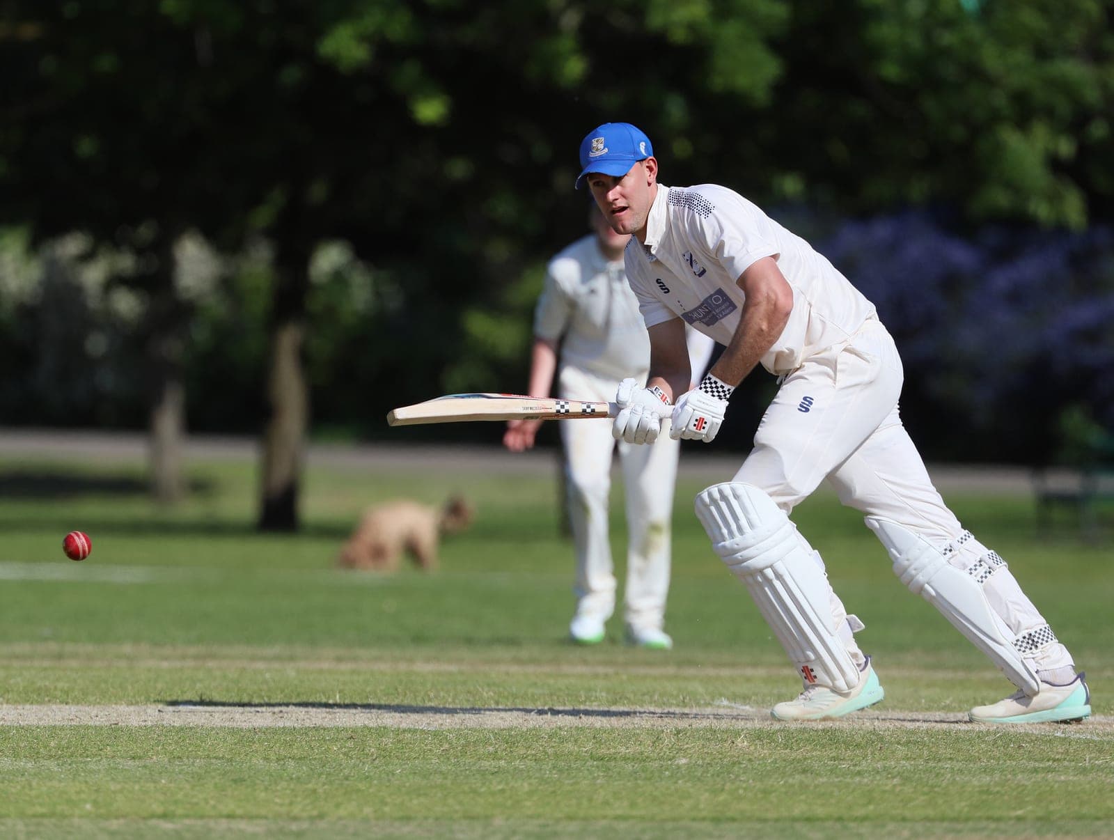 Hermann Ties World Record With 150 on ODI Debut